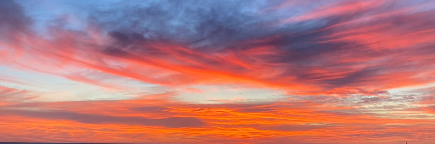 paulabniflor's profile banner image