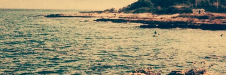 rm_rubi's profile banner image