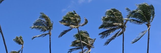 DiamondHeadView's profile banner image