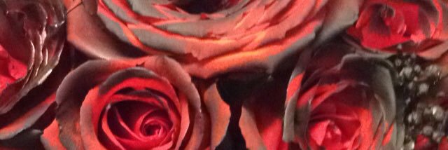 DeicideDarling's profile banner image