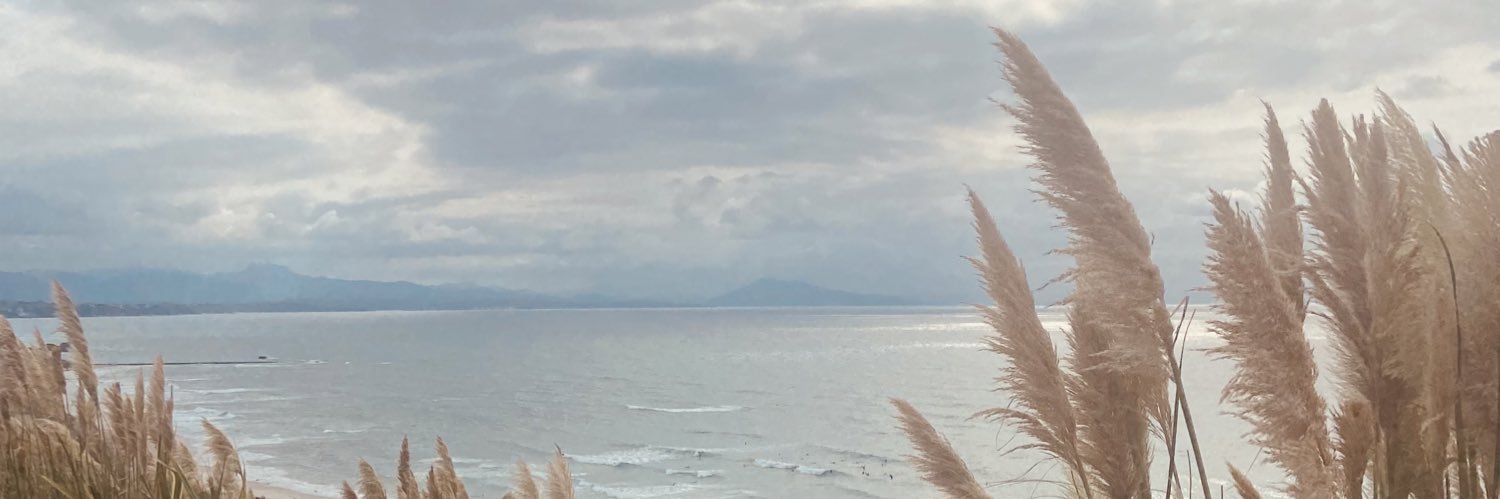 claravbs_'s profile banner image