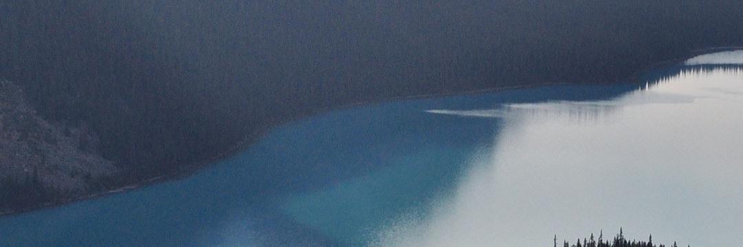 antonwarell's profile banner image