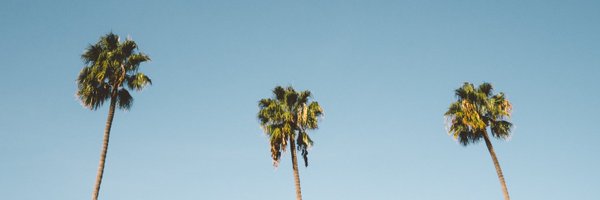 Delmo_dev Profile Banner