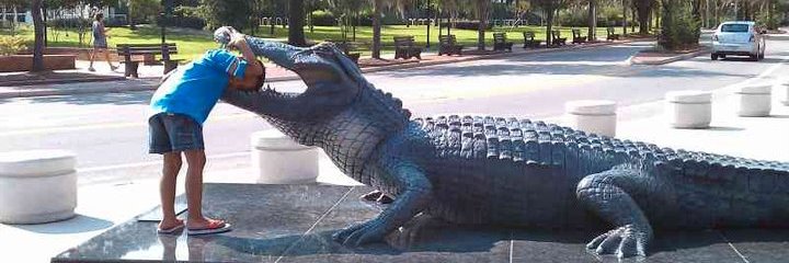 CrypticGator's profile banner image