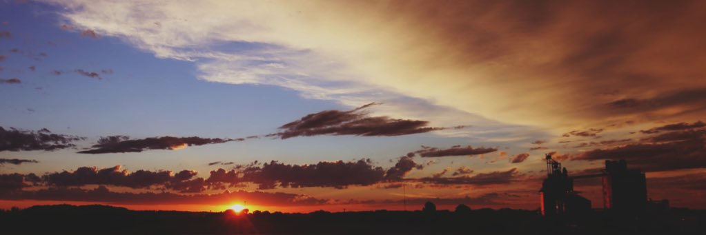 brooklynmew's profile banner image