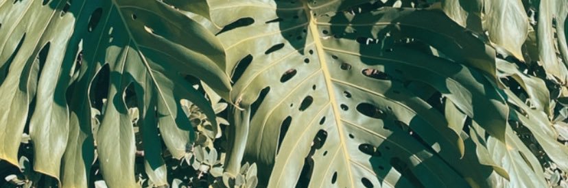 LordMccaskle's profile banner image
