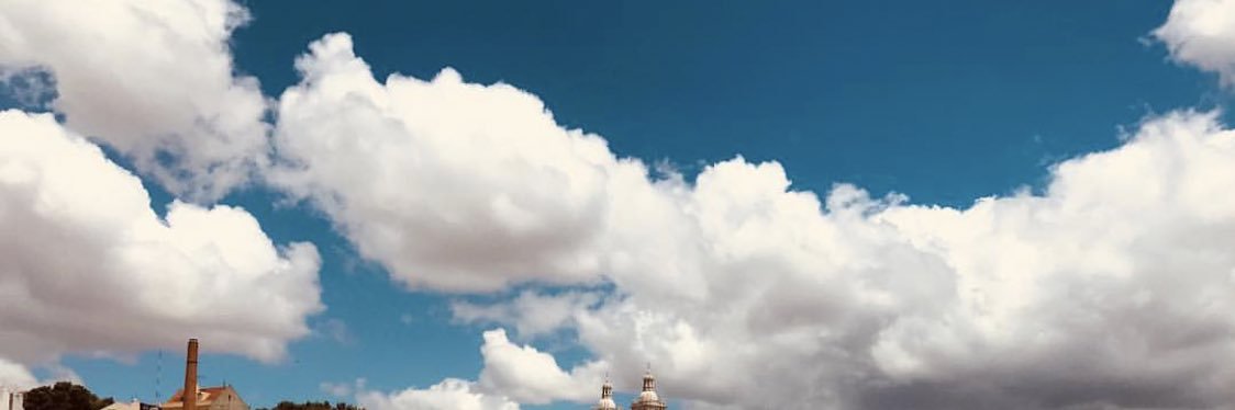 talebcarla's profile banner image