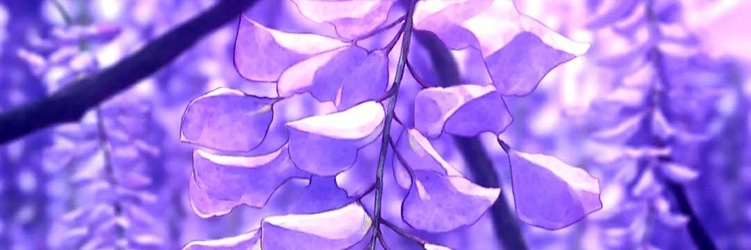 Mags134340⁷ banner