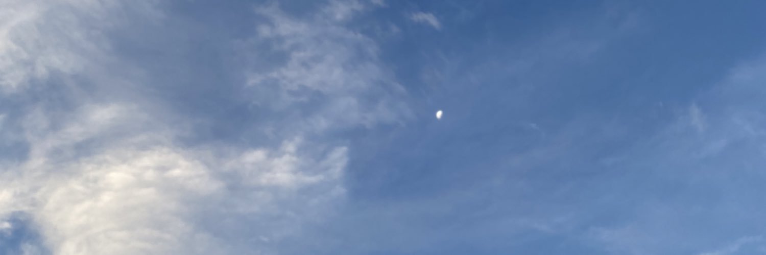 LauraRomanPons's profile banner image