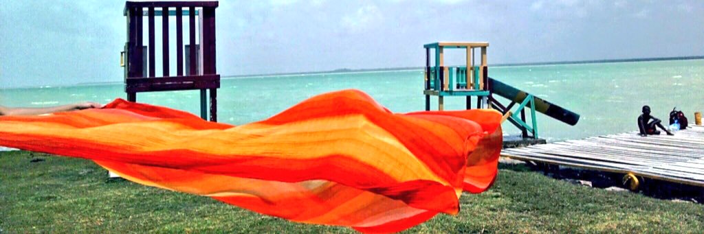 Yoceli banner