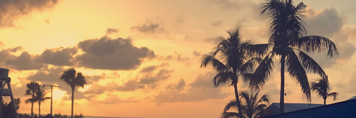 calliekitterick's profile banner image