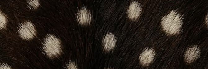 iivcew's profile banner image