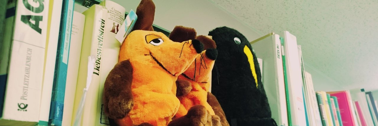 sfc_deutsch's profile banner image