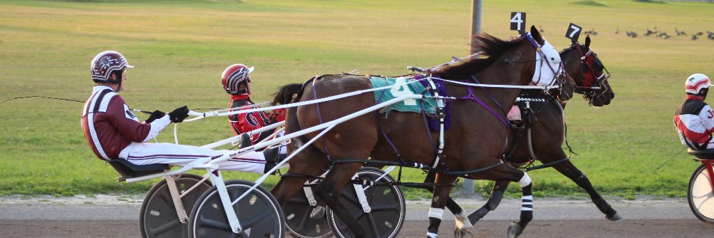 Rideau Carleton Raceway banner