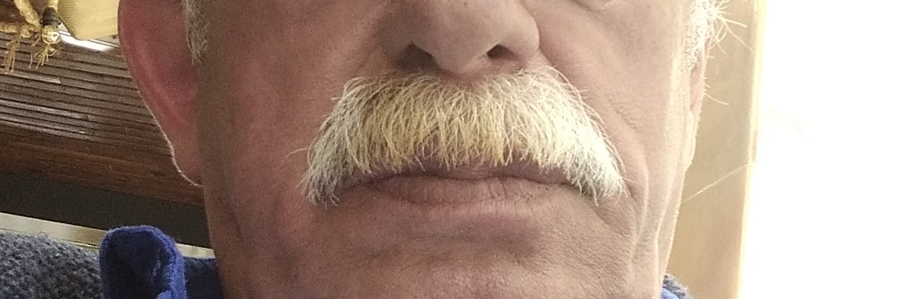 mrtlblbc's profile banner image