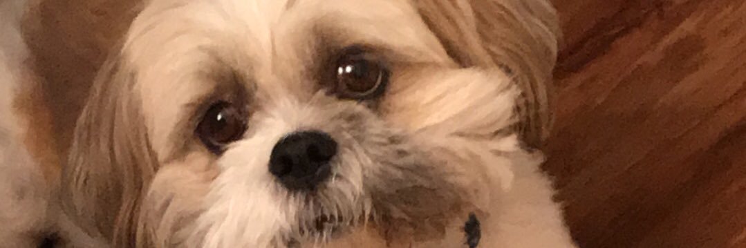 alyssadeem15's profile banner image