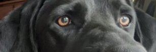 bsmarter_read's profile banner image
