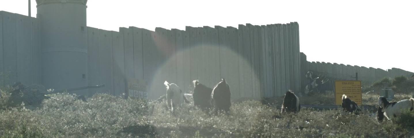 ComingIntifada's profile banner image