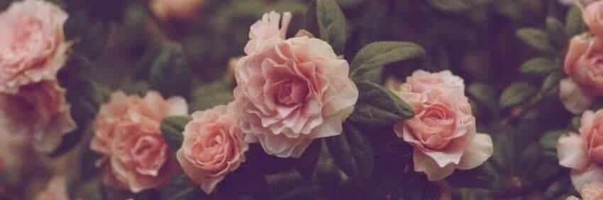 Boucleeette's profile banner image