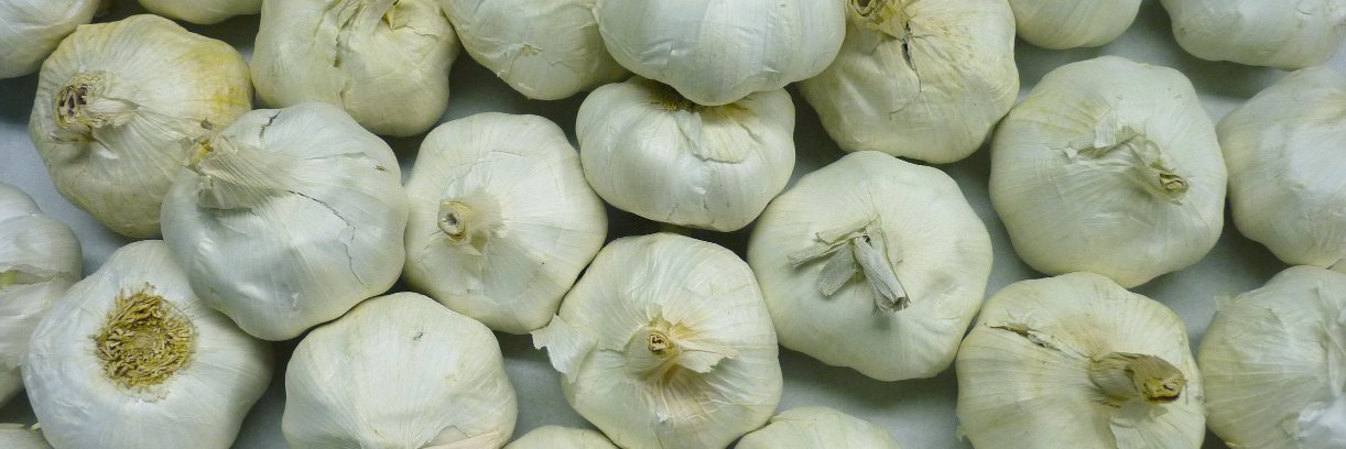 LudwellStores's profile banner image