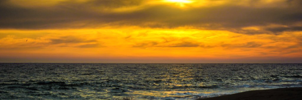 ms_calcagno's profile banner image