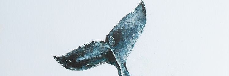 whatever0rory's profile banner image
