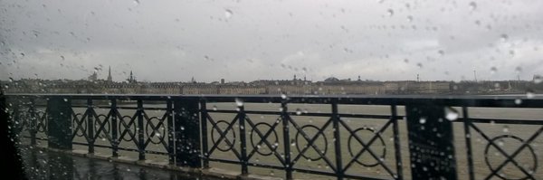 KSalamandre Profile Banner