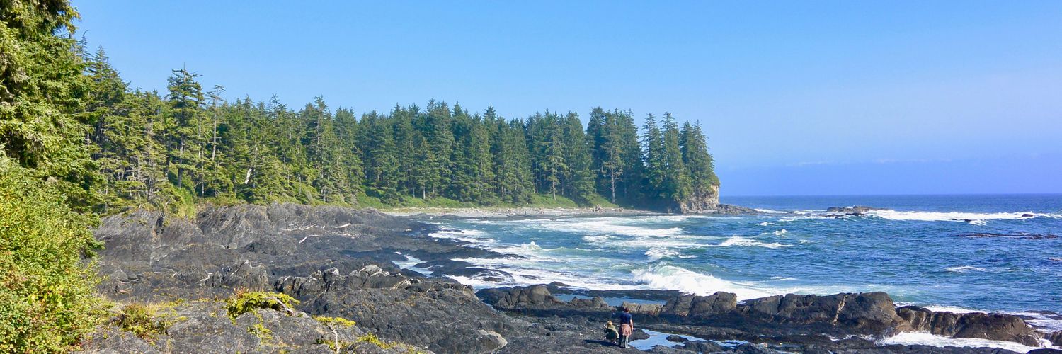 Kevin Stanley banner