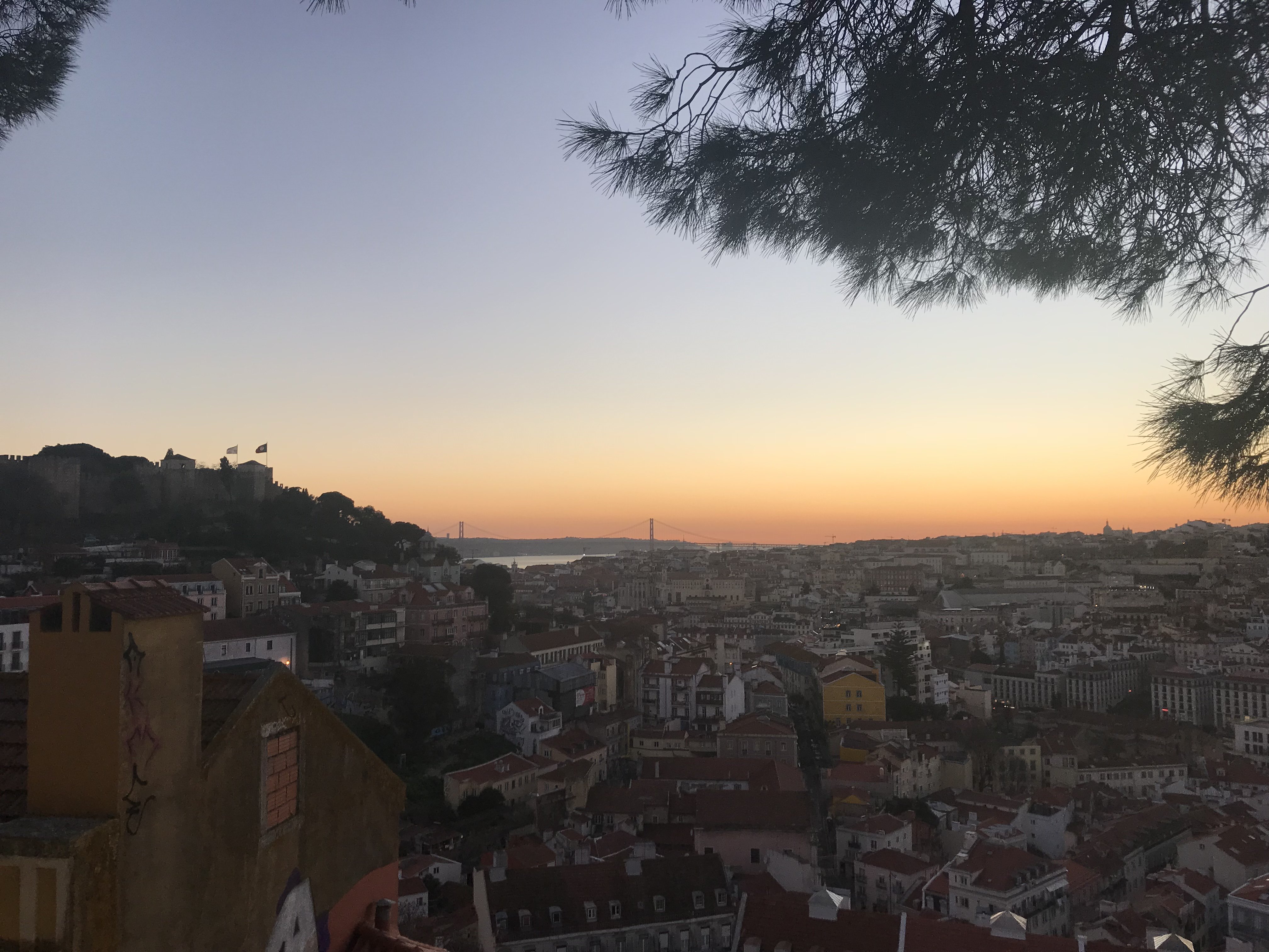 f_barbiero's profile banner image