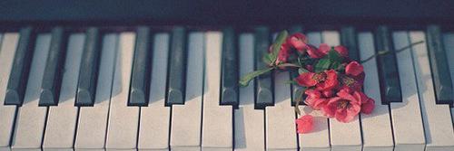 Ashleigh Stevens banner