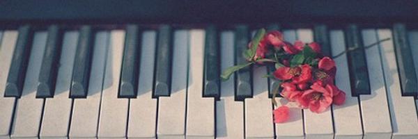 StevensAshleigh Profile Banner