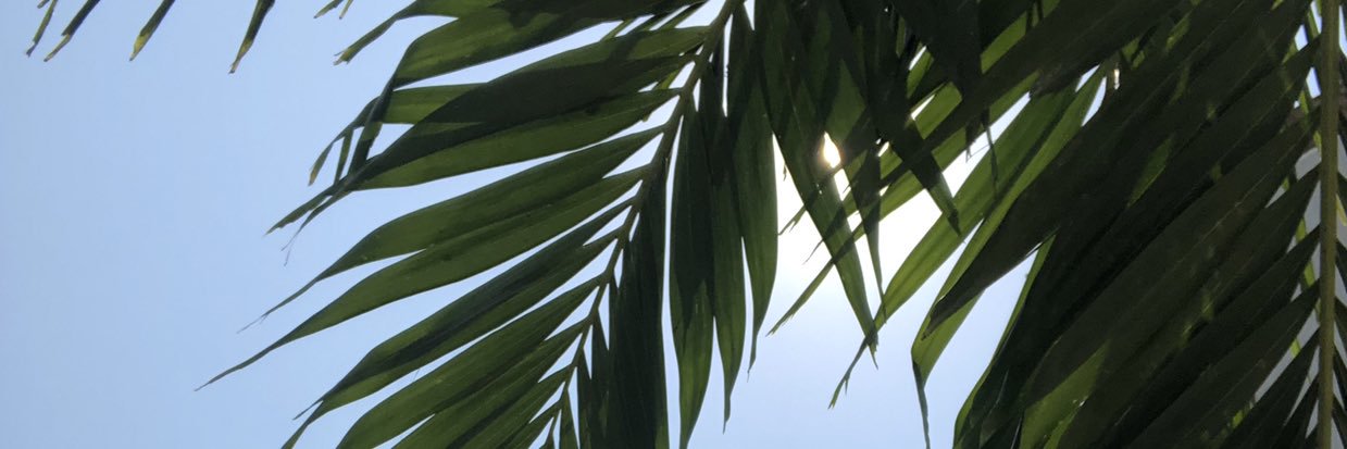 iamthania's profile banner image