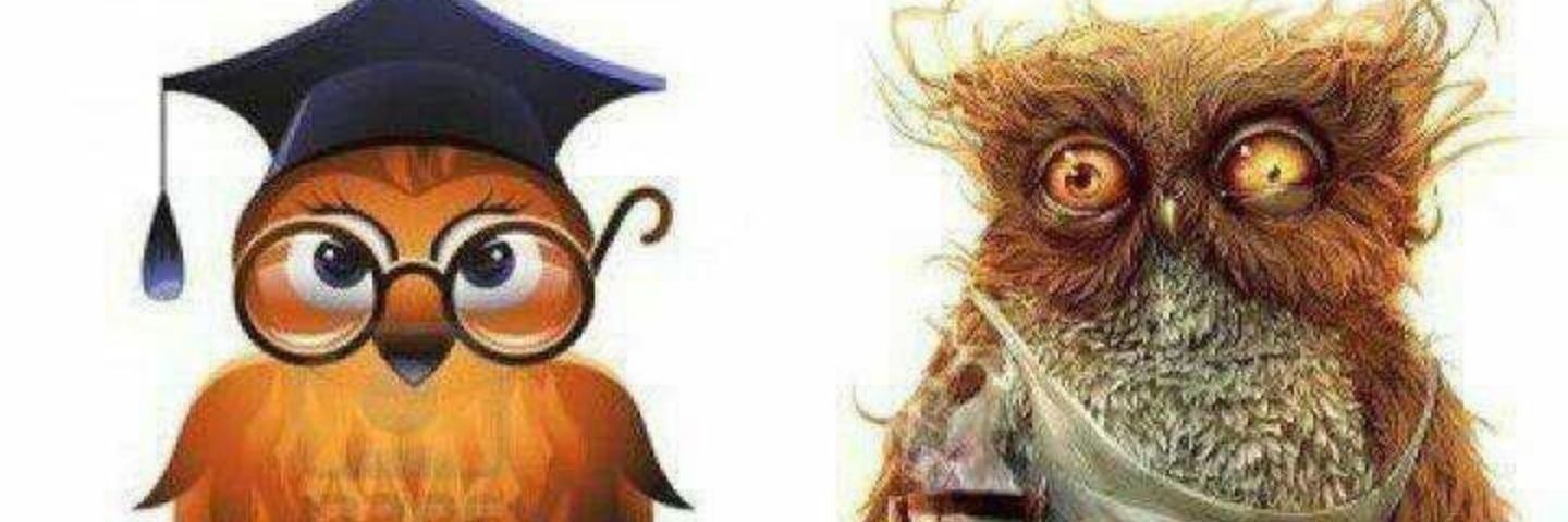 leolish3's profile banner image