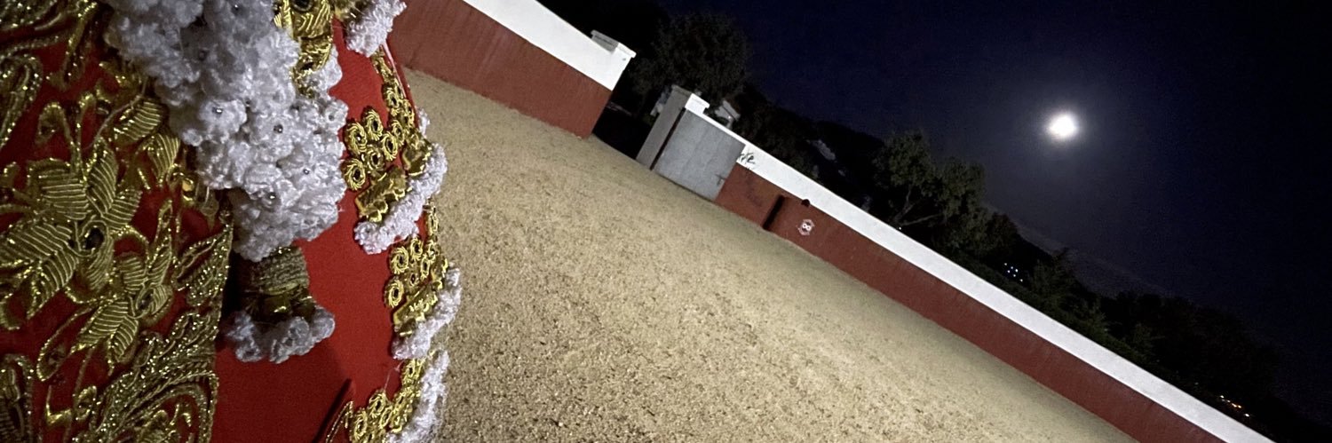 Alejandro Fermin banner