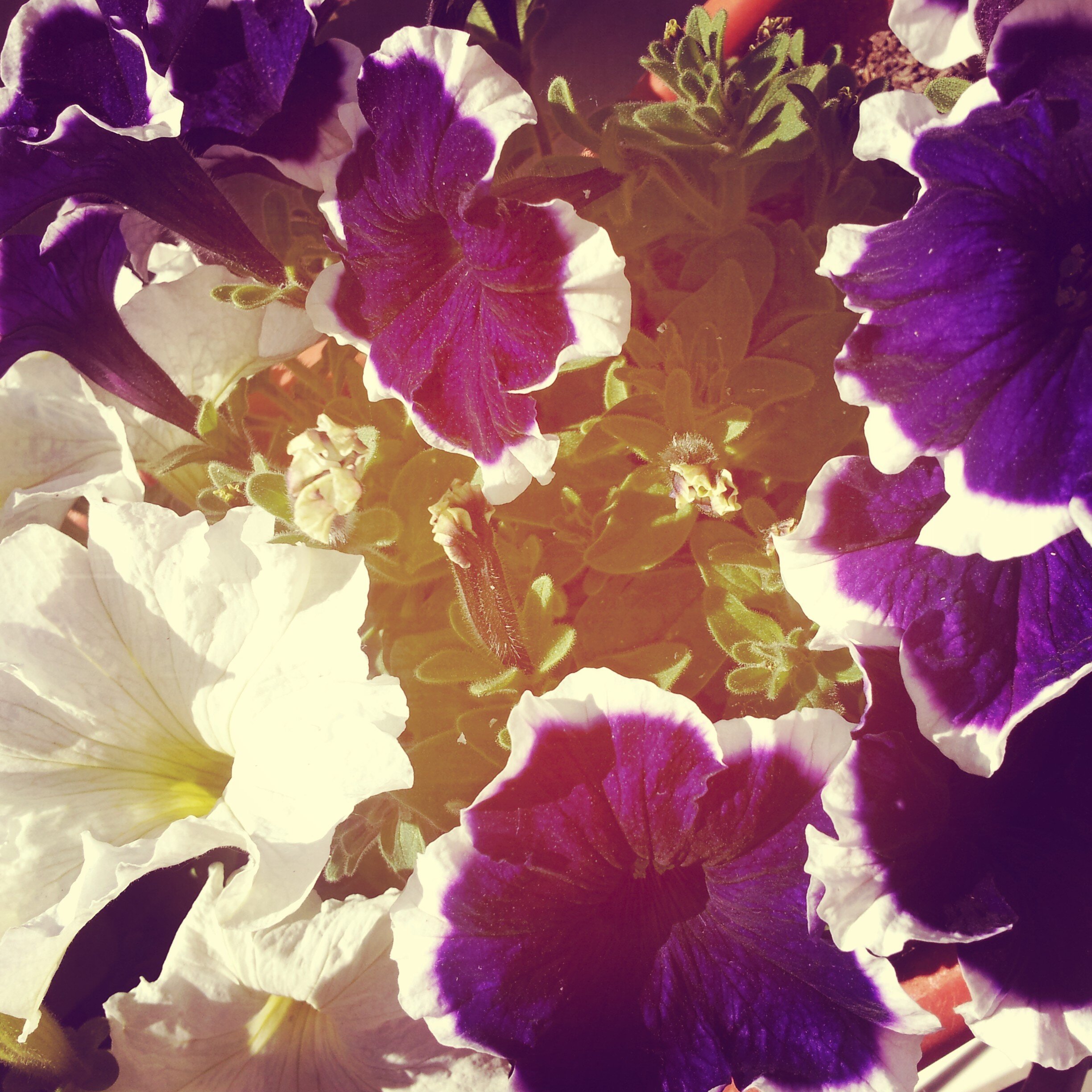 Juu1708's profile banner image