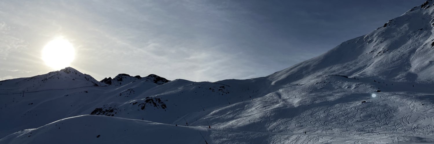 Stolichnaya banner
