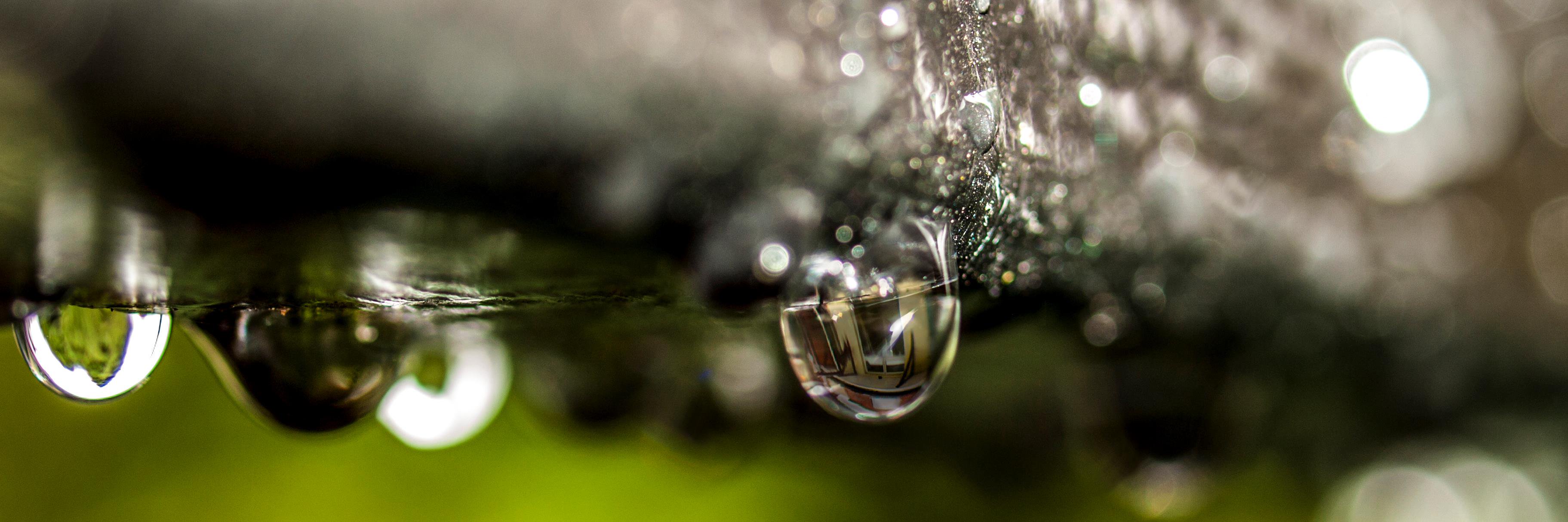 MCTPhotography1's profile banner image