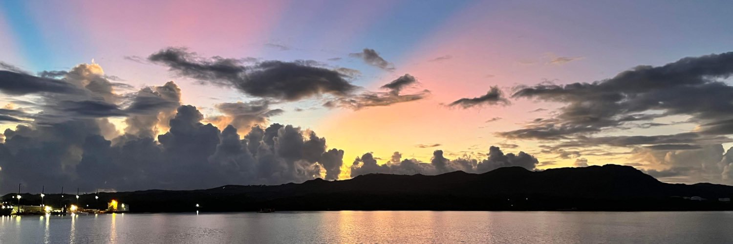 JanelleHoward1's profile banner image