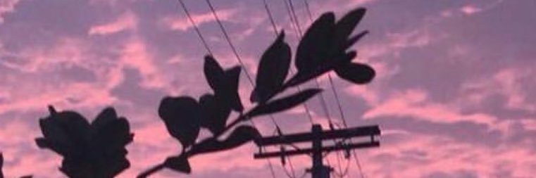 trecytulsh's profile banner image