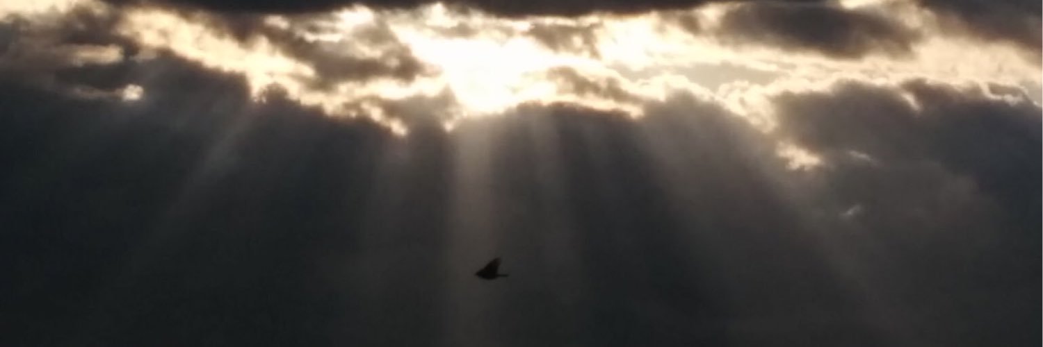 franziani's profile banner image