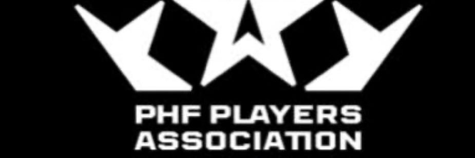 nwhlpa's profile banner image