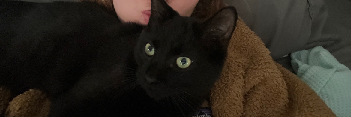 ohKALEyea's profile banner image