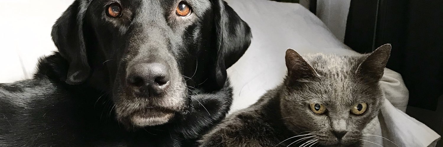 Harli_G_'s profile banner image