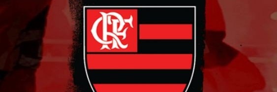 welingtonex's profile banner image