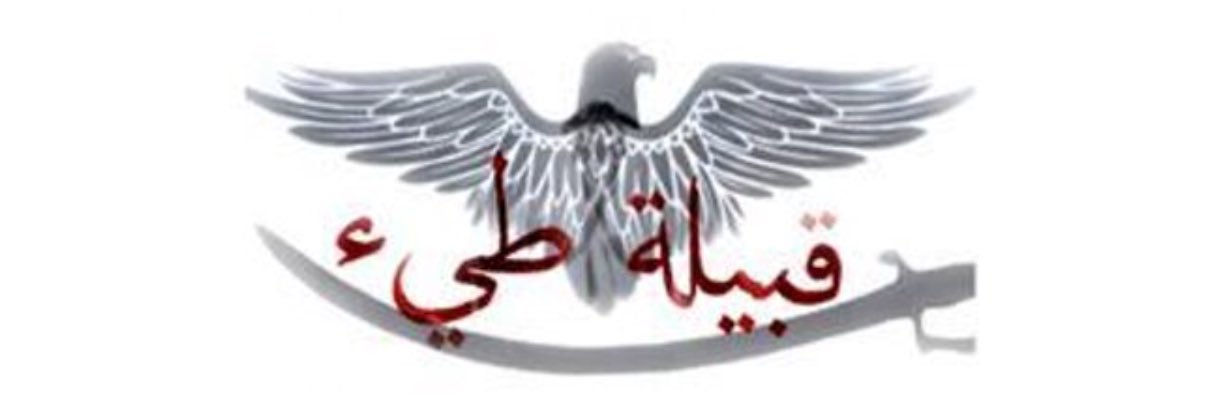 _M6661's profile banner image