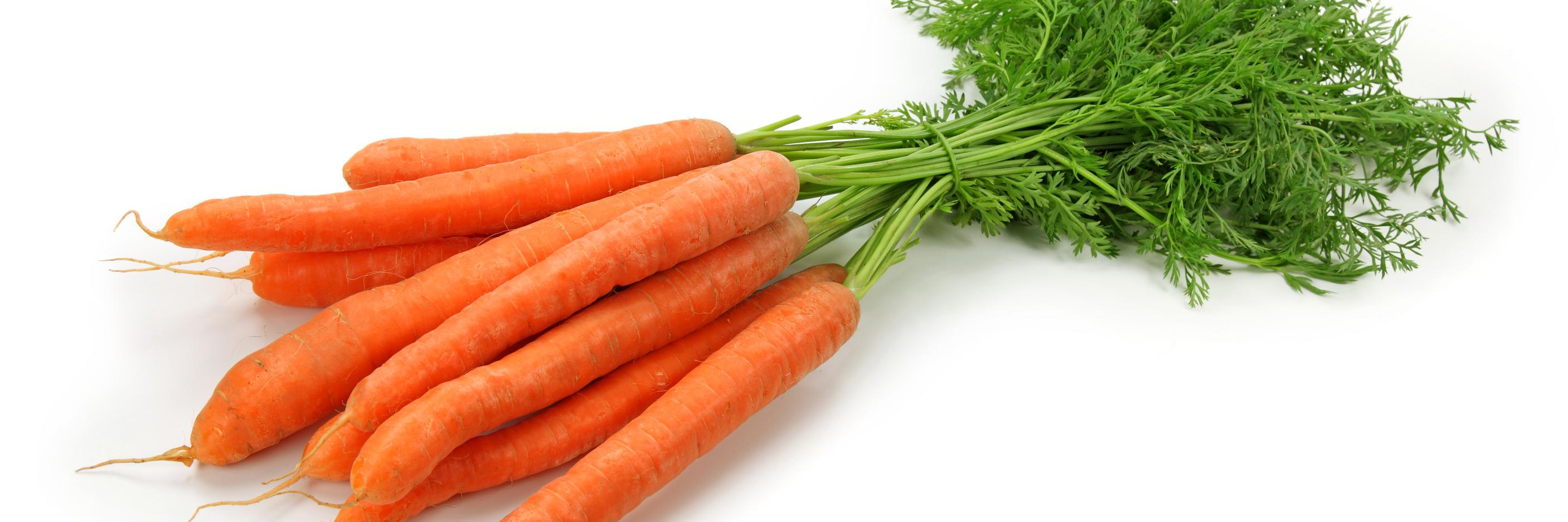 TRAKAIS TRUSIS banner