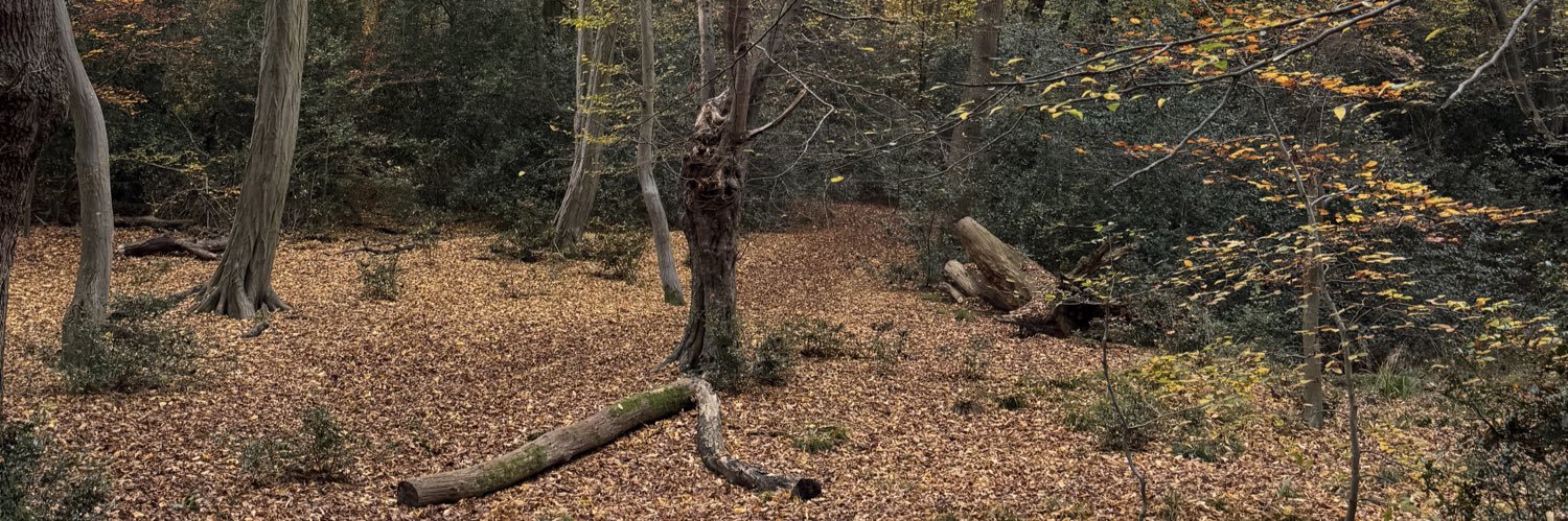 Caroline  Scates banner