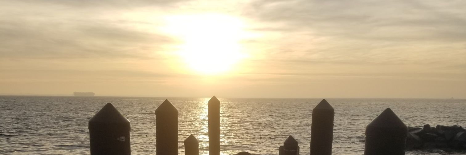 colden_here's profile banner image