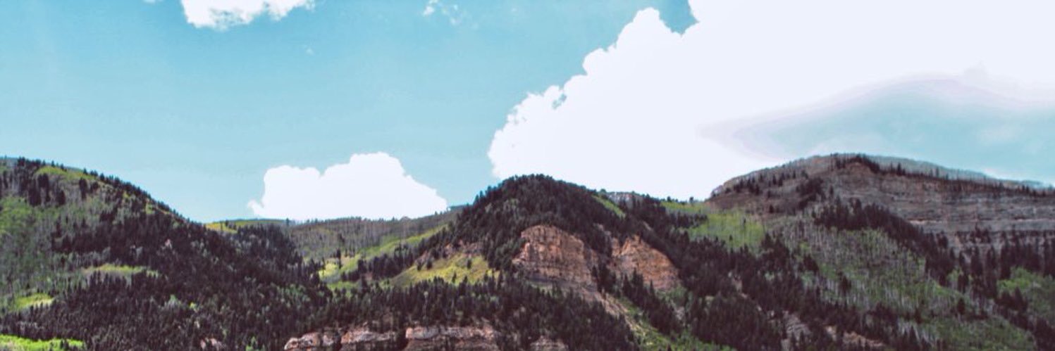 BreeShamsy's profile banner image