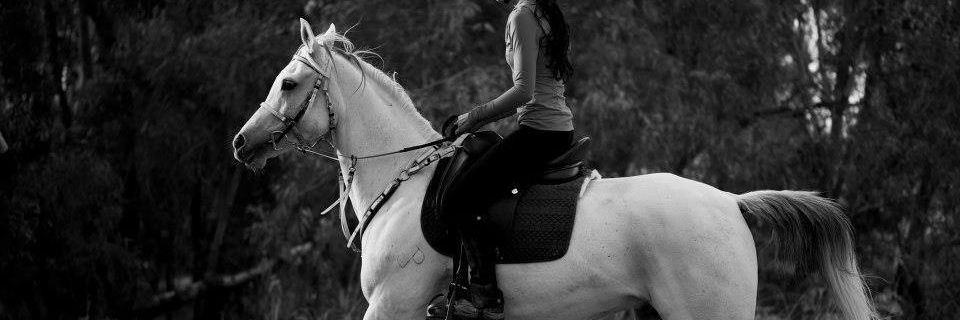 Lindasv8's profile banner image